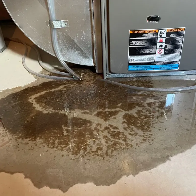 Pipe Burst and Leak Restoration in Stilwell, OK
